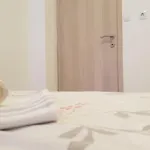 Conte Grebaštica