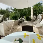 Apartmán Conte Grebaštica